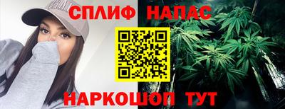 мяу мяу мука Будённовск