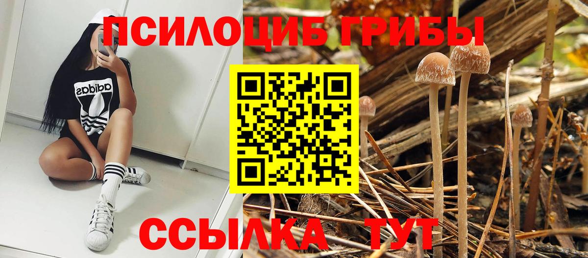 Галлюциногенные грибы Cubensis Тольятти