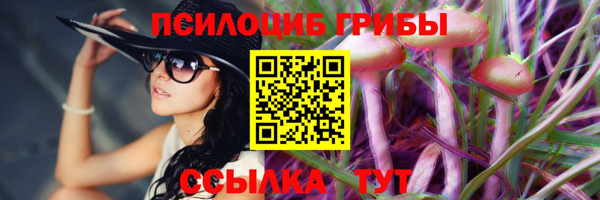 Галлюциногенные грибы Magic Shrooms  Вход с VPN  Галлюциногенные грибы ЛСД  Тольятти 